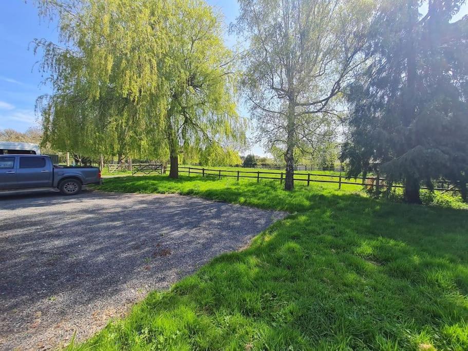 The Little Cottage - Peaceful, Dog Friendly Cottage In 5 Acres Glastonbury Eksteriør bilde