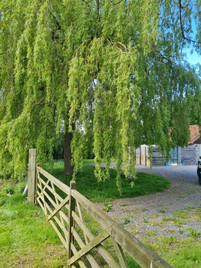 The Little Cottage - Peaceful, Dog Friendly Cottage In 5 Acres Glastonbury Eksteriør bilde